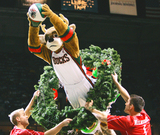 Bango jumps through a wreath, 12/22/2006