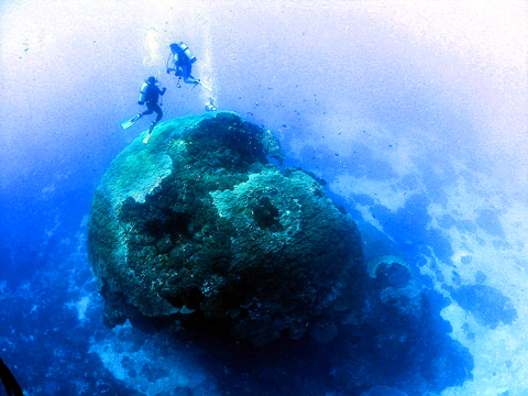 Researchers inspect coral in the coastal waters of Green Island. PHOTO COURTESY OF ALLEN CHEN