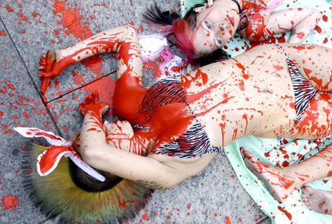 Cruelty To Animals. of cruelty toward animals.