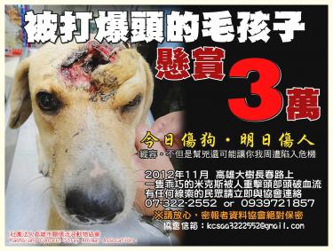 animal protection posters