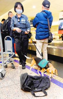 COA to boost pig fever defense