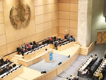 Delegation to promote WHA bid in Geneva