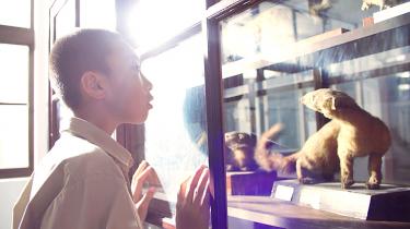 Video celebrates the passion behind Chimei Museum