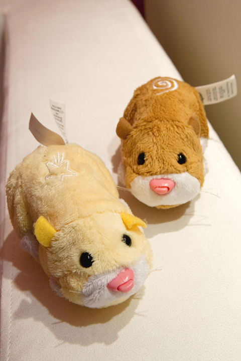 Zhu Zhu Pets Are the Season's Hottest Toy - The New York Times