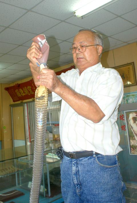 How to Force Feed a Snake