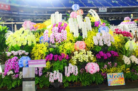 Taiwanese growers win prizes at orchid show in Japan - Taipei Times