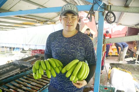 tariffs plague bunches kuo holds
