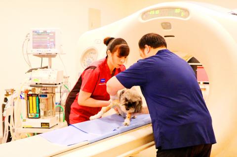 University sets up dedicated PET-CT scanner for pets - Taipei Times