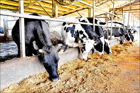 Hacked Off Neighbor Sues Farm For Smelly Cow Dung Court Upholds Ruling 法官認證 牛糞太臭牧場判賠二十萬 Taipei Times