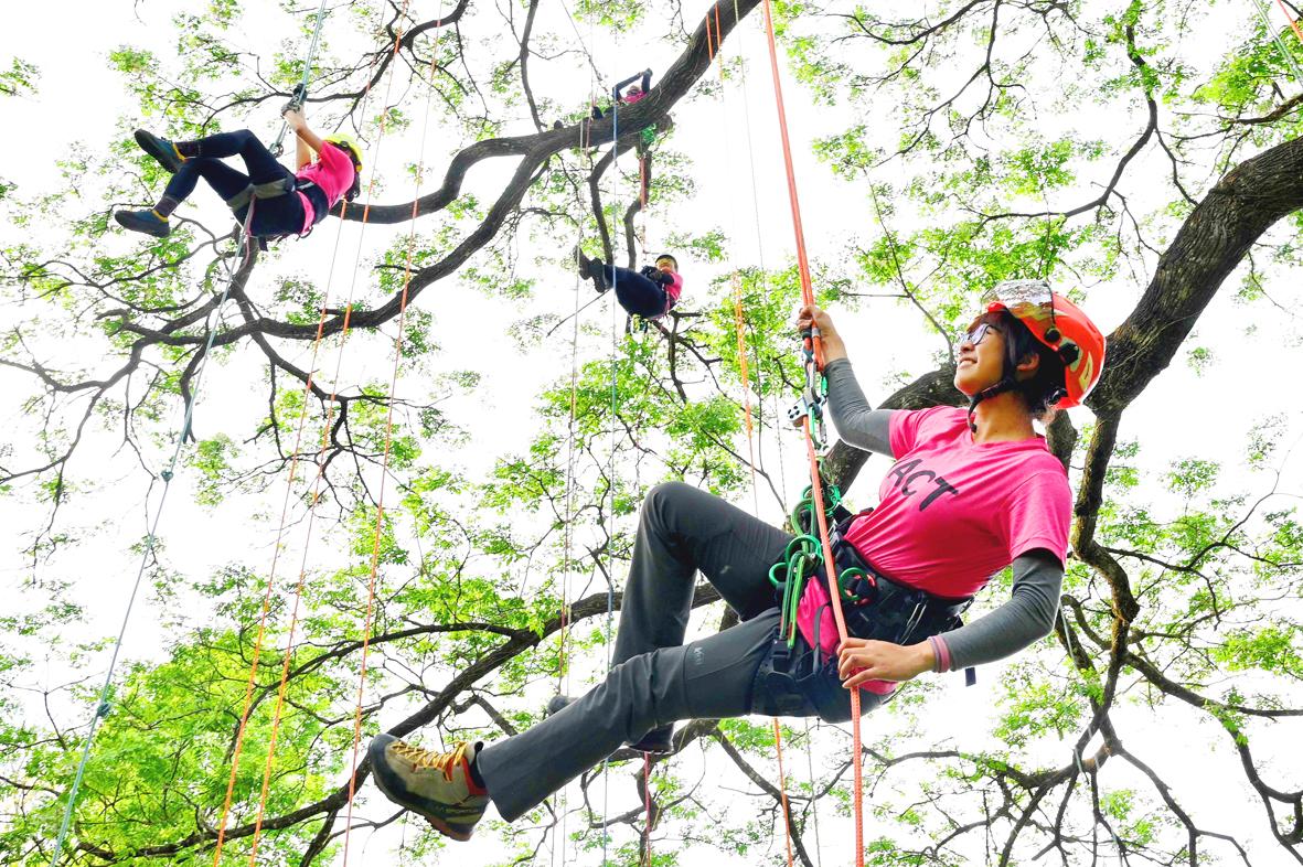 Tree climbing growing among women - Taipei Times