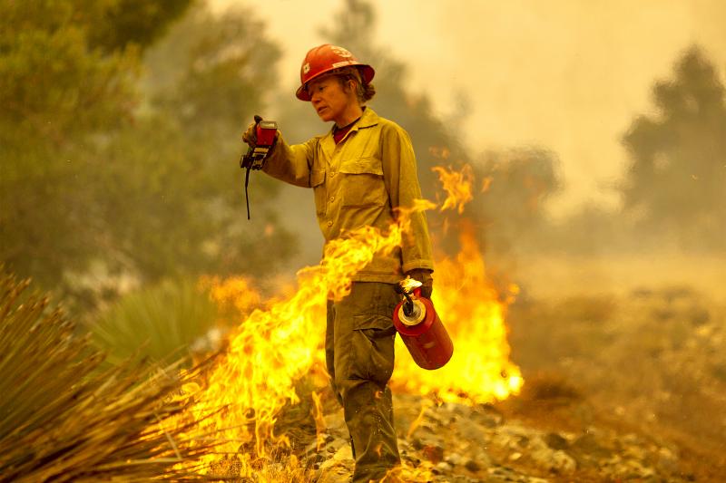Firefighters battle massive wildfires on US west coast
