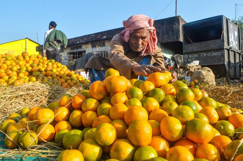 India’s oranges Taipei Times