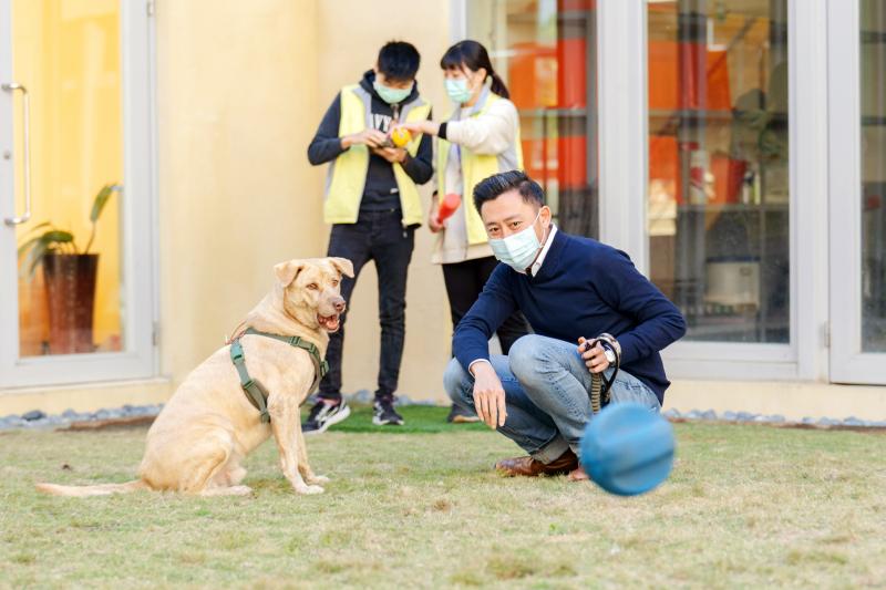 Hsinchu supplying free pet insurance policies for adoptions Hsinchu supplying free pet insurance policies for adoptions