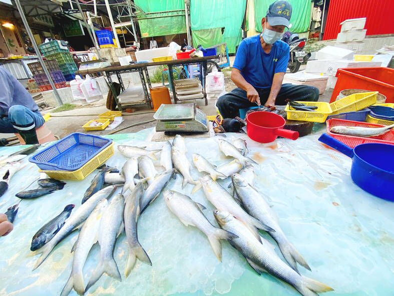 COA to help fishers after China impedes imports Taipei Times