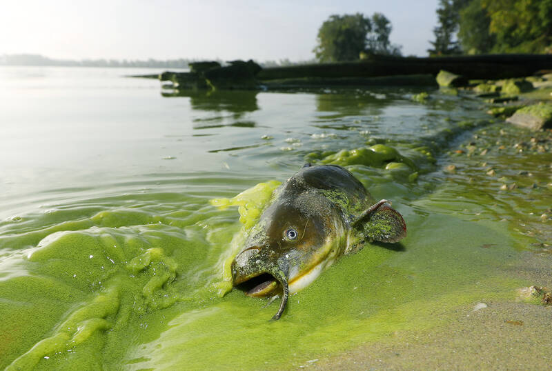 Scientists: Atmospheric carbon might turn lakes more acidic