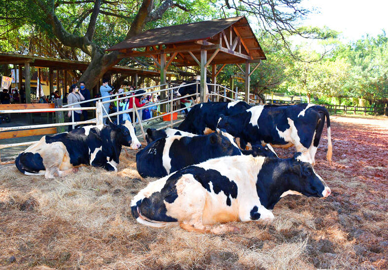 New technology pinpoints dairy origins