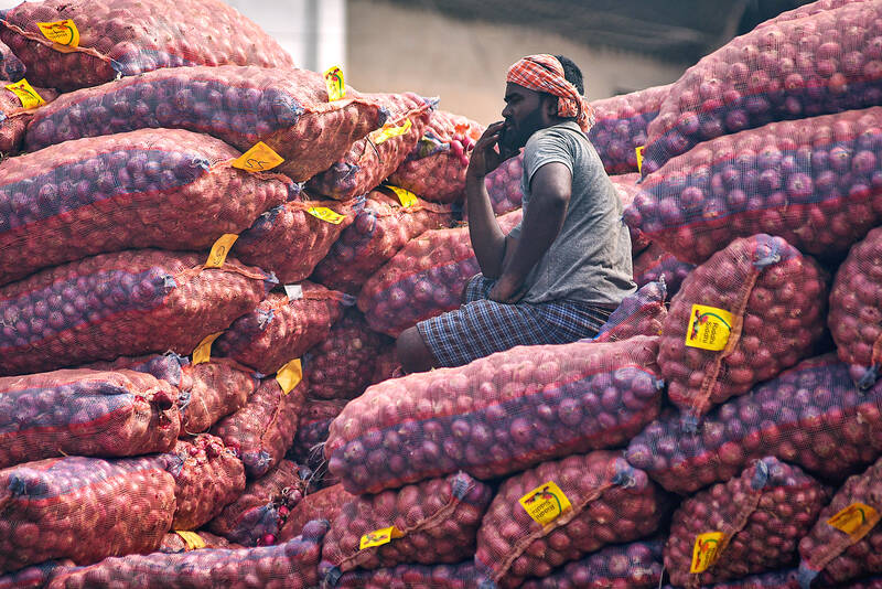 India’s onion farmers cry foul at politicians’ price ploy