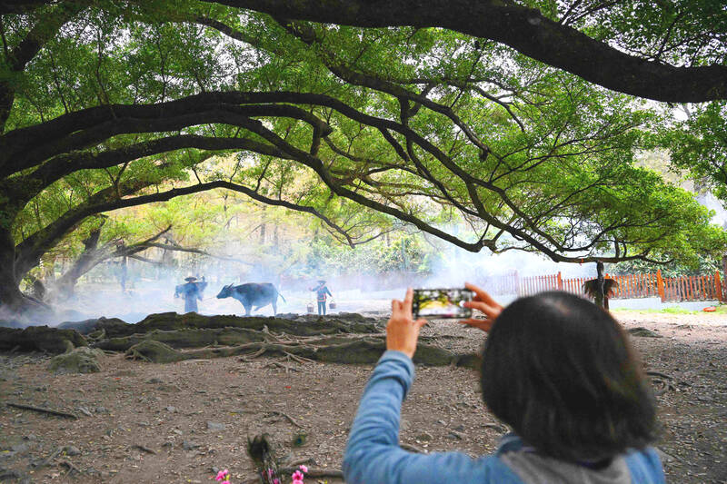 Viral Chinese tourist spot stokes farm nostalgia