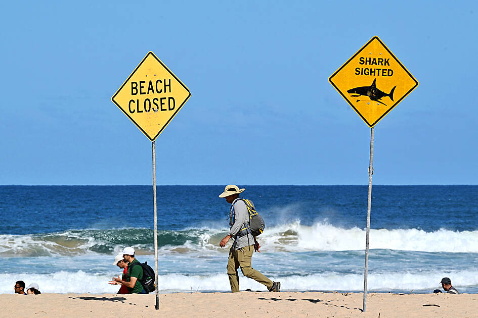 ‘Large shark’ kills local man off beach in Australia